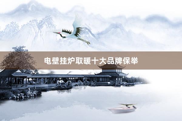 电壁挂炉取暖十大品牌保举